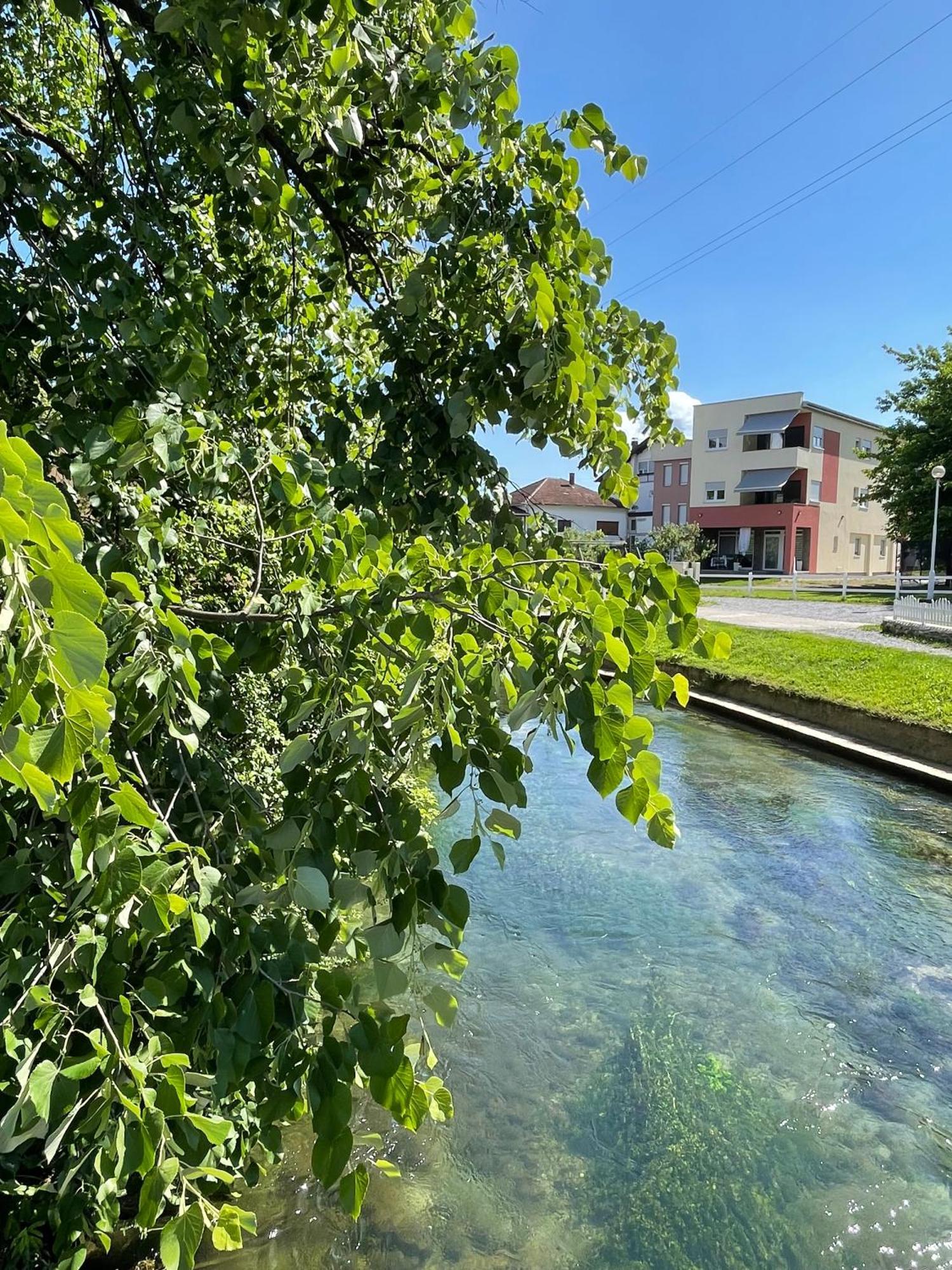 Apartment Vila Tara Bihać 외부 사진
